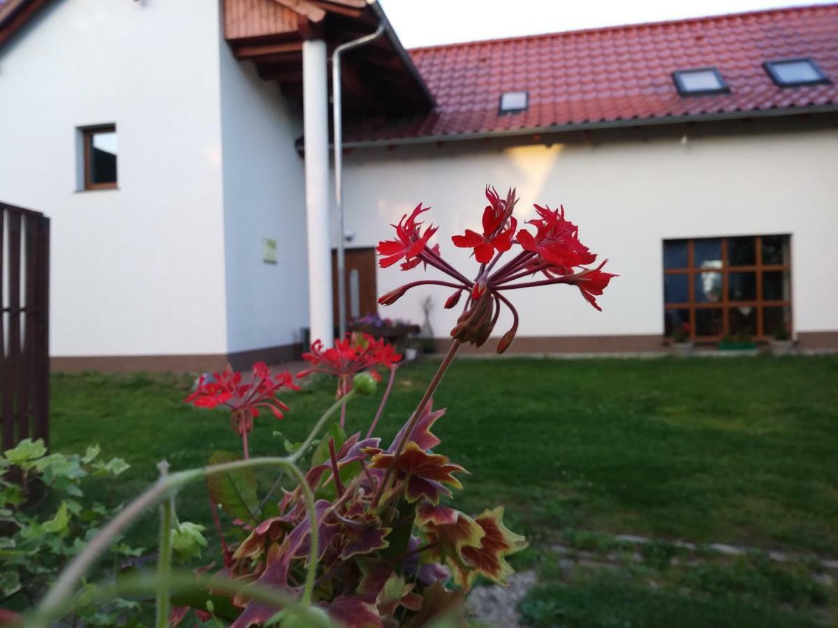 Agroturystyka Struzka Bronków Eksteriør billede